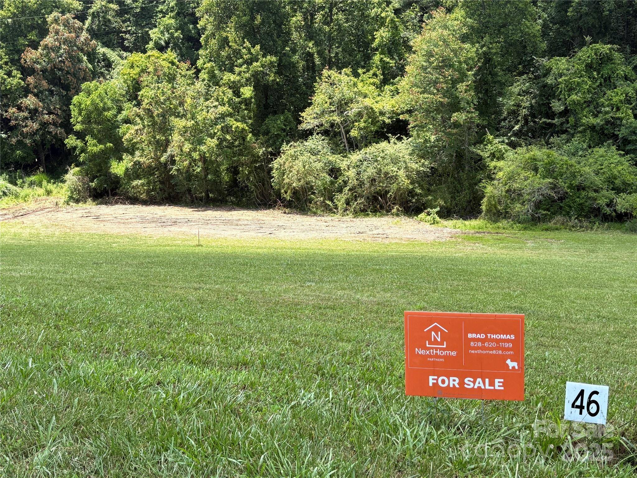 9999 Settlers TRL #46, Mars Hill, NC 28754