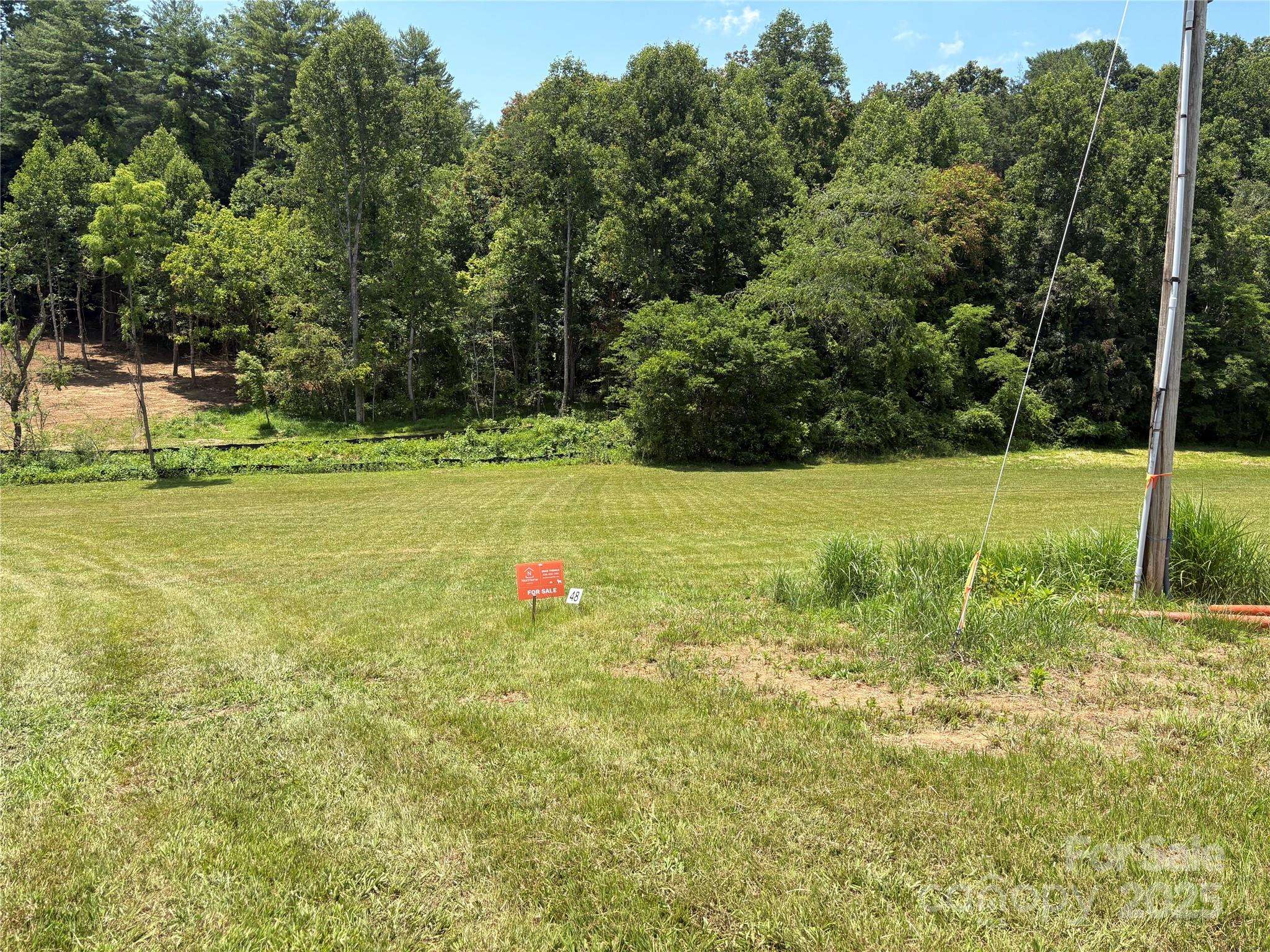 9999 Settlers TRL #48, Mars Hill, NC 28754