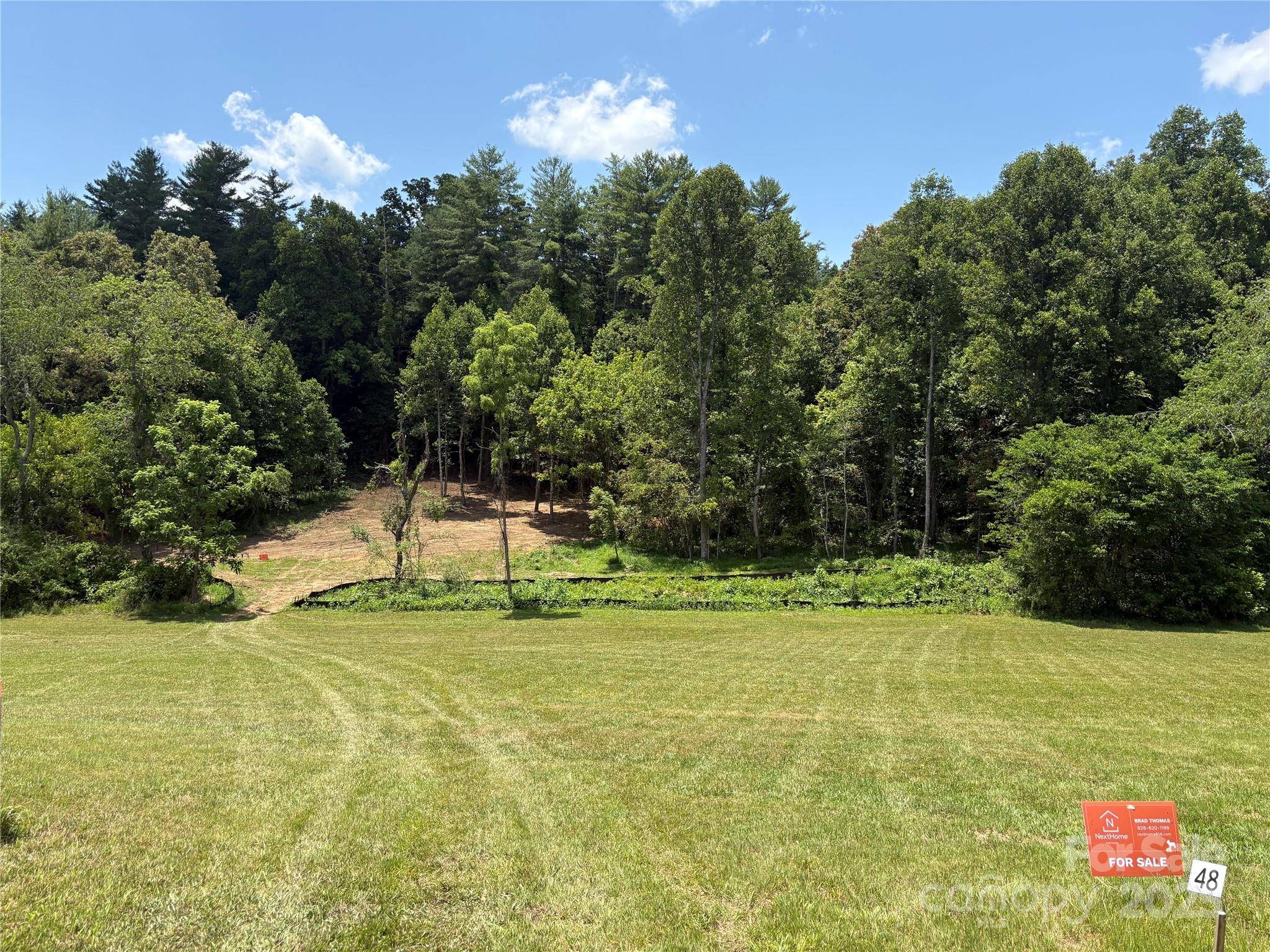 9999 Settlers TRL #48, Mars Hill, NC 28754