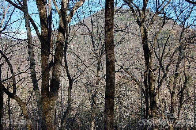 Lot 30 Summit CT #30, Lake Lure, NC 28746