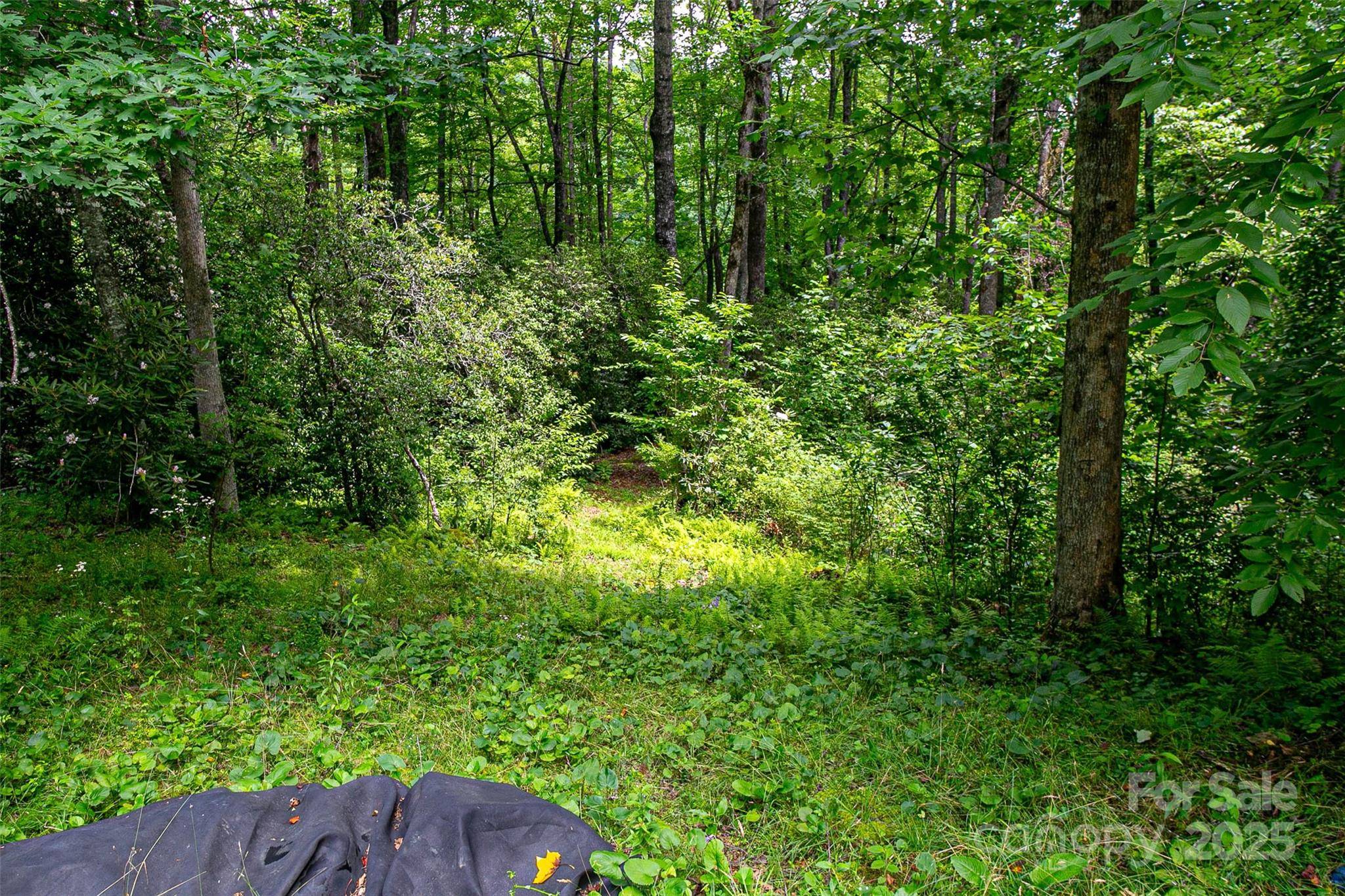 164 Horseplay LN, Lake Toxaway, NC 28747