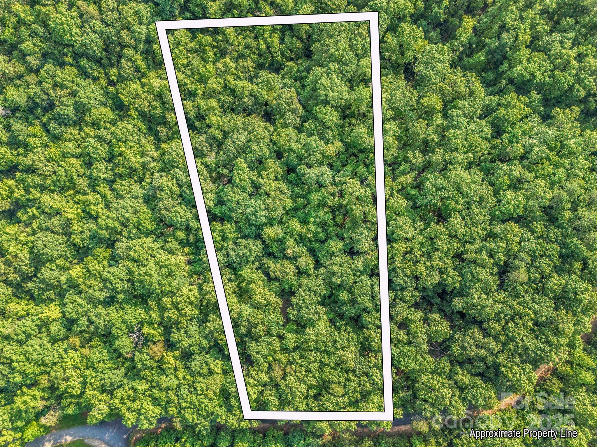 0 Forest Country DR #Lot 49, Marion, NC 28752