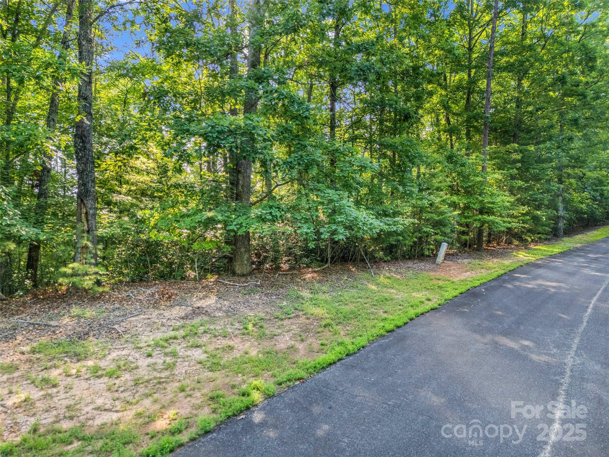 0 Forest Country DR #Lot 49, Marion, NC 28752