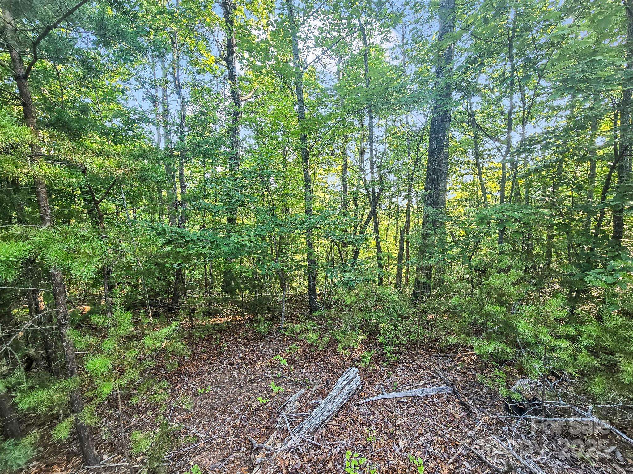 0 Forest Country DR #Lot 49, Marion, NC 28752
