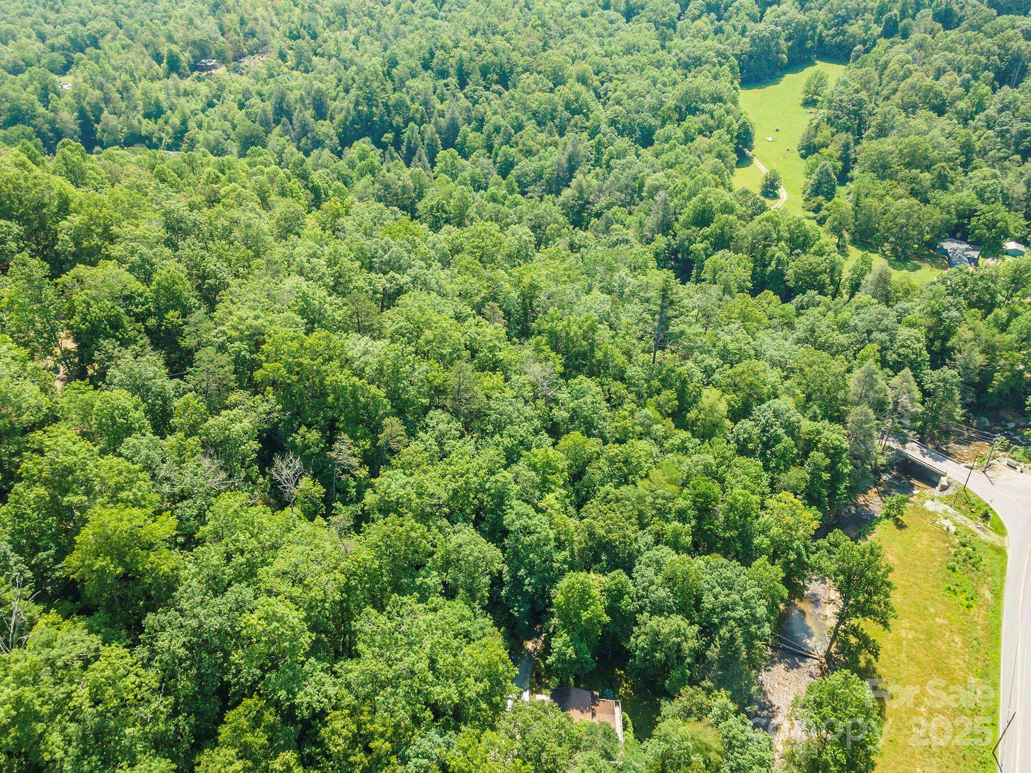 11 Roy LN, Black Mountain, NC 28711
