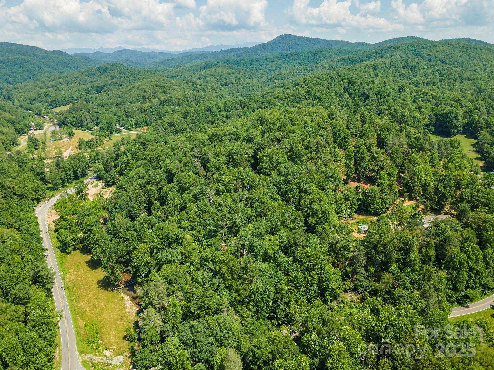 11 Roy LN, Black Mountain, NC 28711