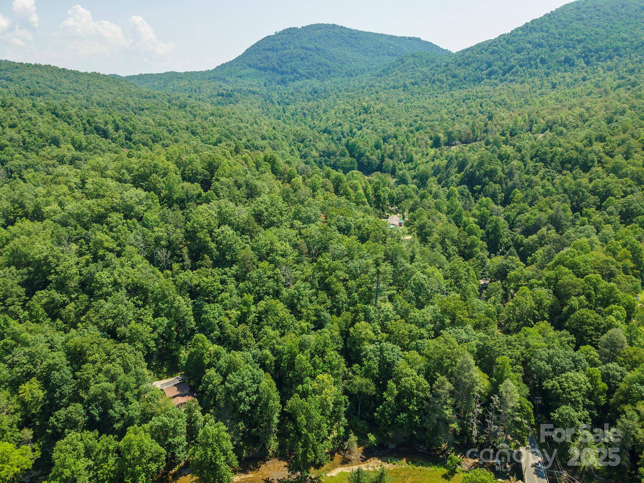 11 Roy LN, Black Mountain, NC 28711