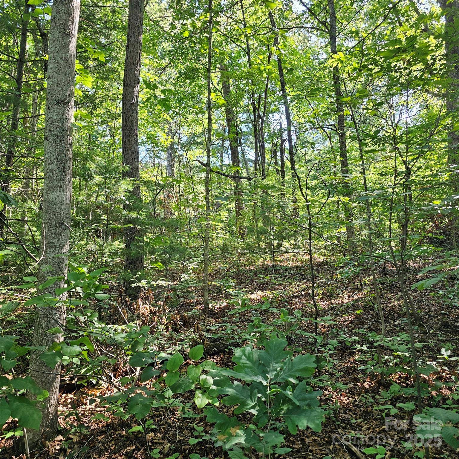 99999 Campground RD, Asheville, NC 28805