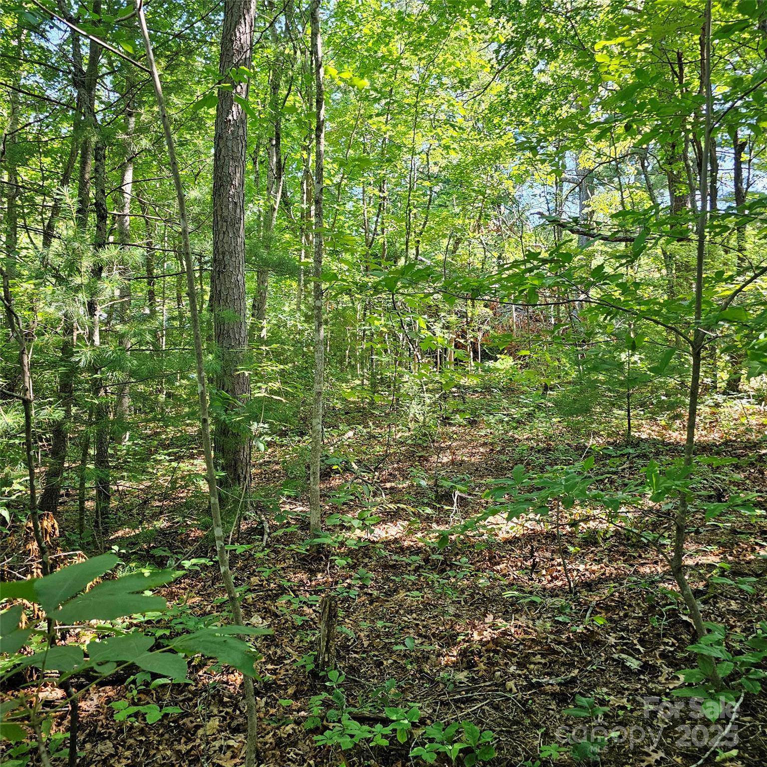 99999 Campground RD, Asheville, NC 28805