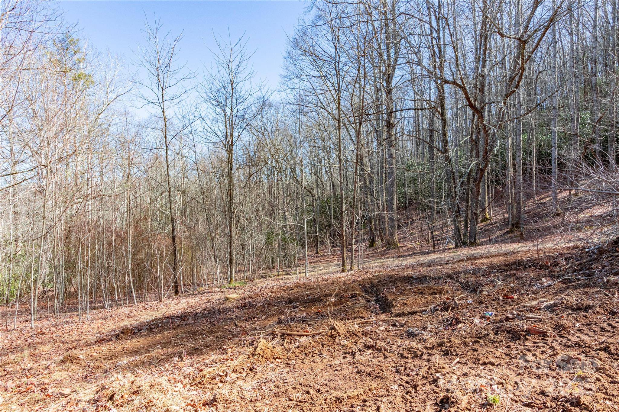 0 Landis LN, Burnsville, NC 28714
