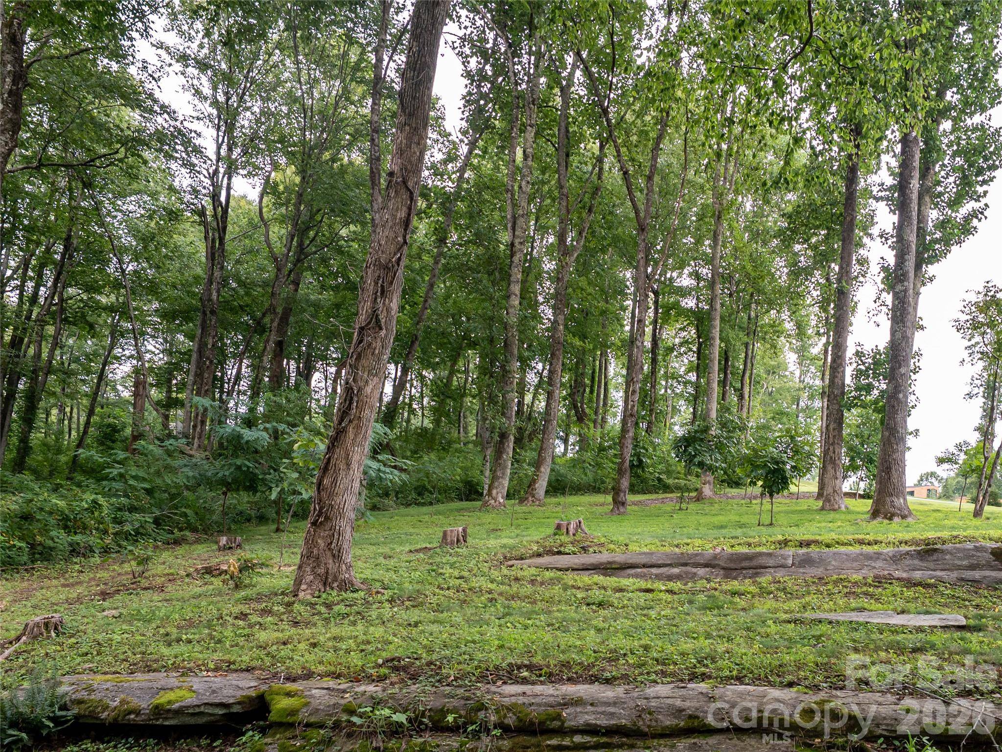 000 Laurel Ledge WAY #23, Fletcher, NC 28732