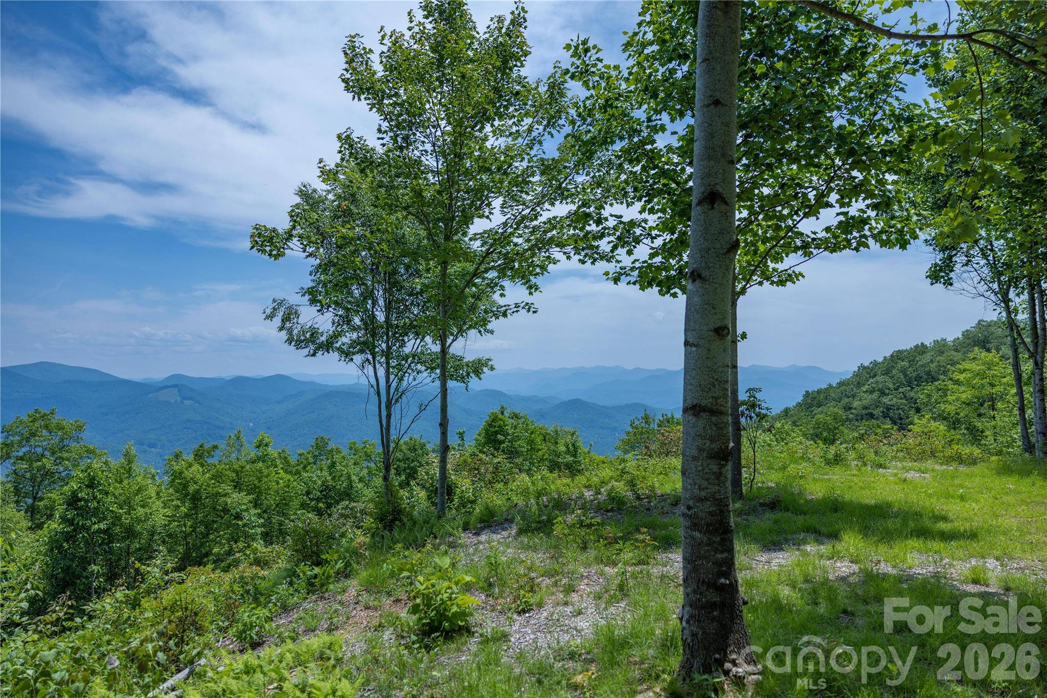 3409 Parris Branch RD, Sylva, NC 28779