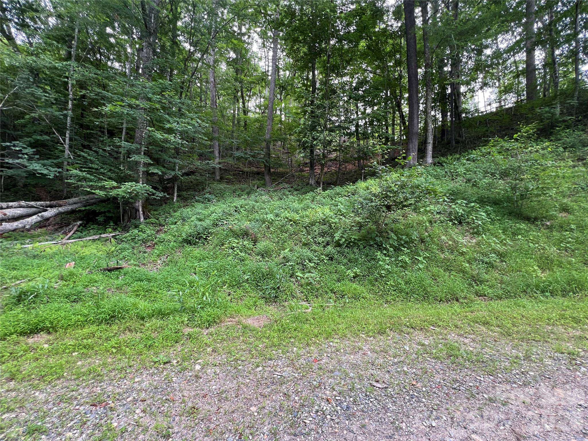 0 CHESTNUT LN #Lot 84, Mars Hill, NC 28754