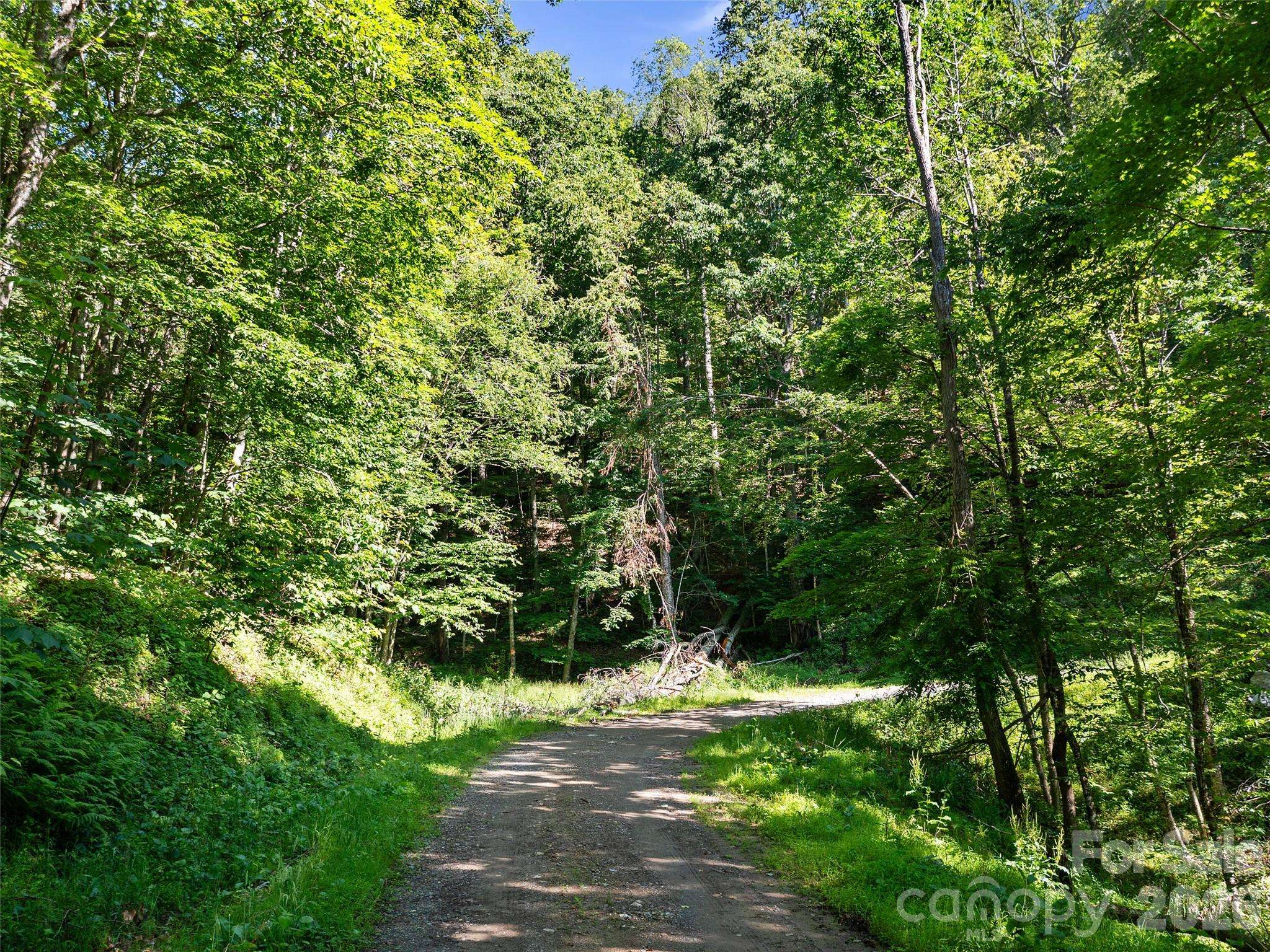 0 CHESTNUT LN #Lot 84, Mars Hill, NC 28754
