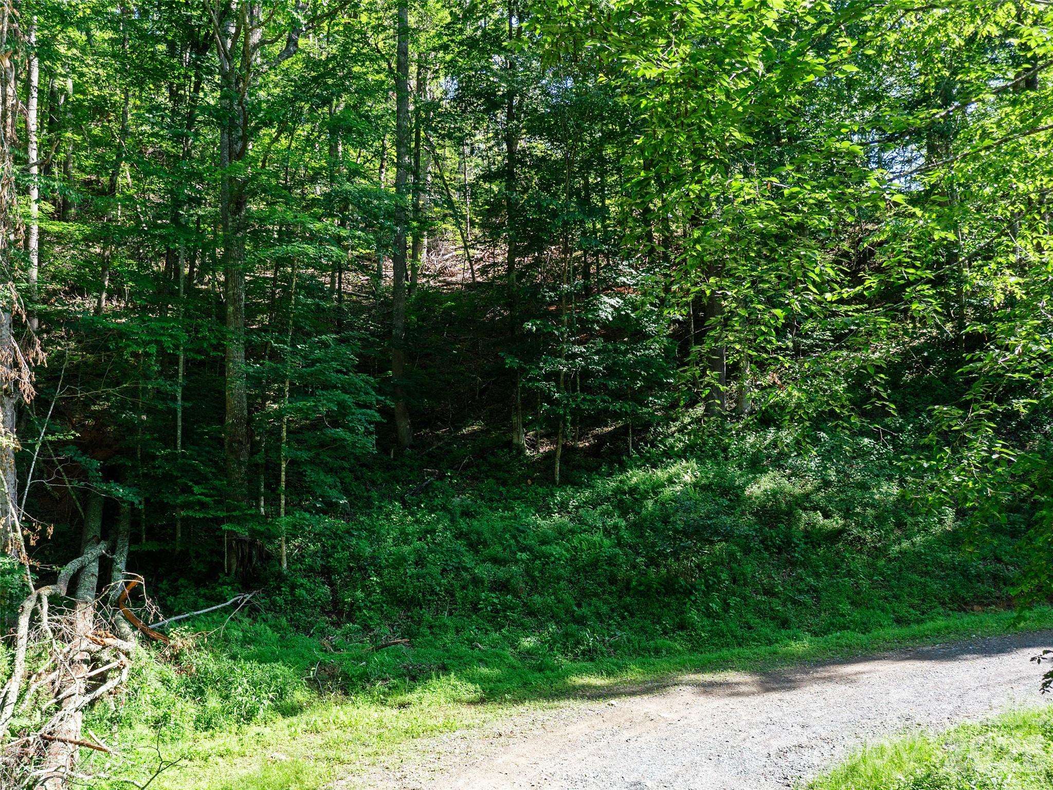 0 CHESTNUT LN #Lot 84, Mars Hill, NC 28754