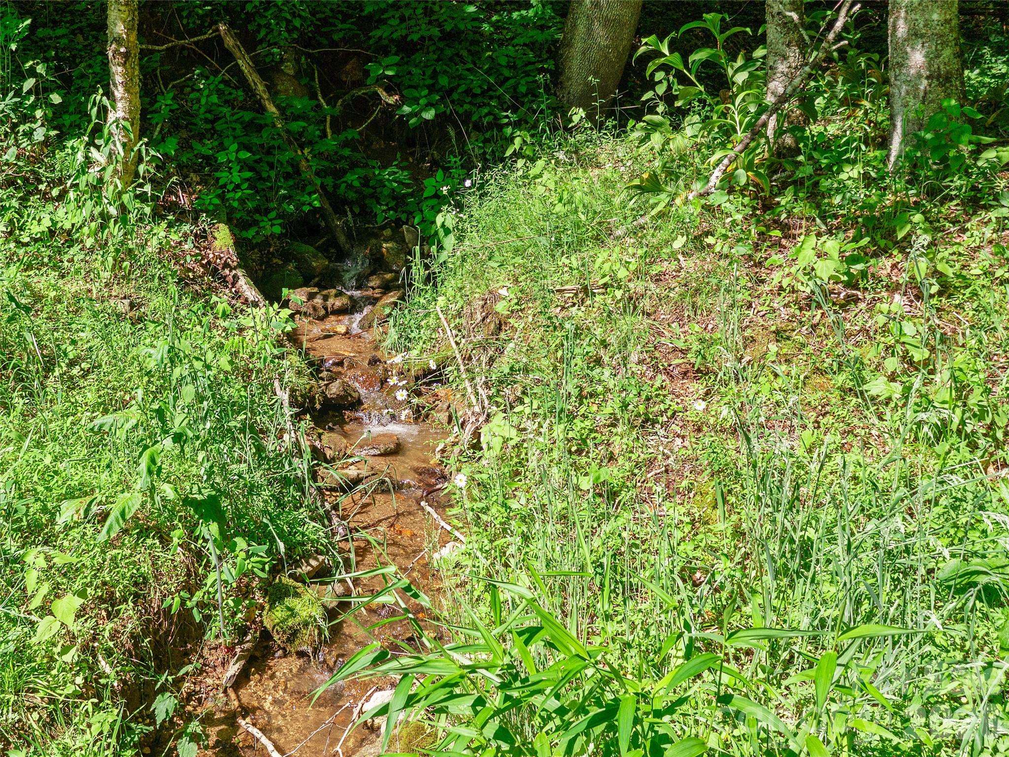 0 CHESTNUT LN #Lot 84, Mars Hill, NC 28754