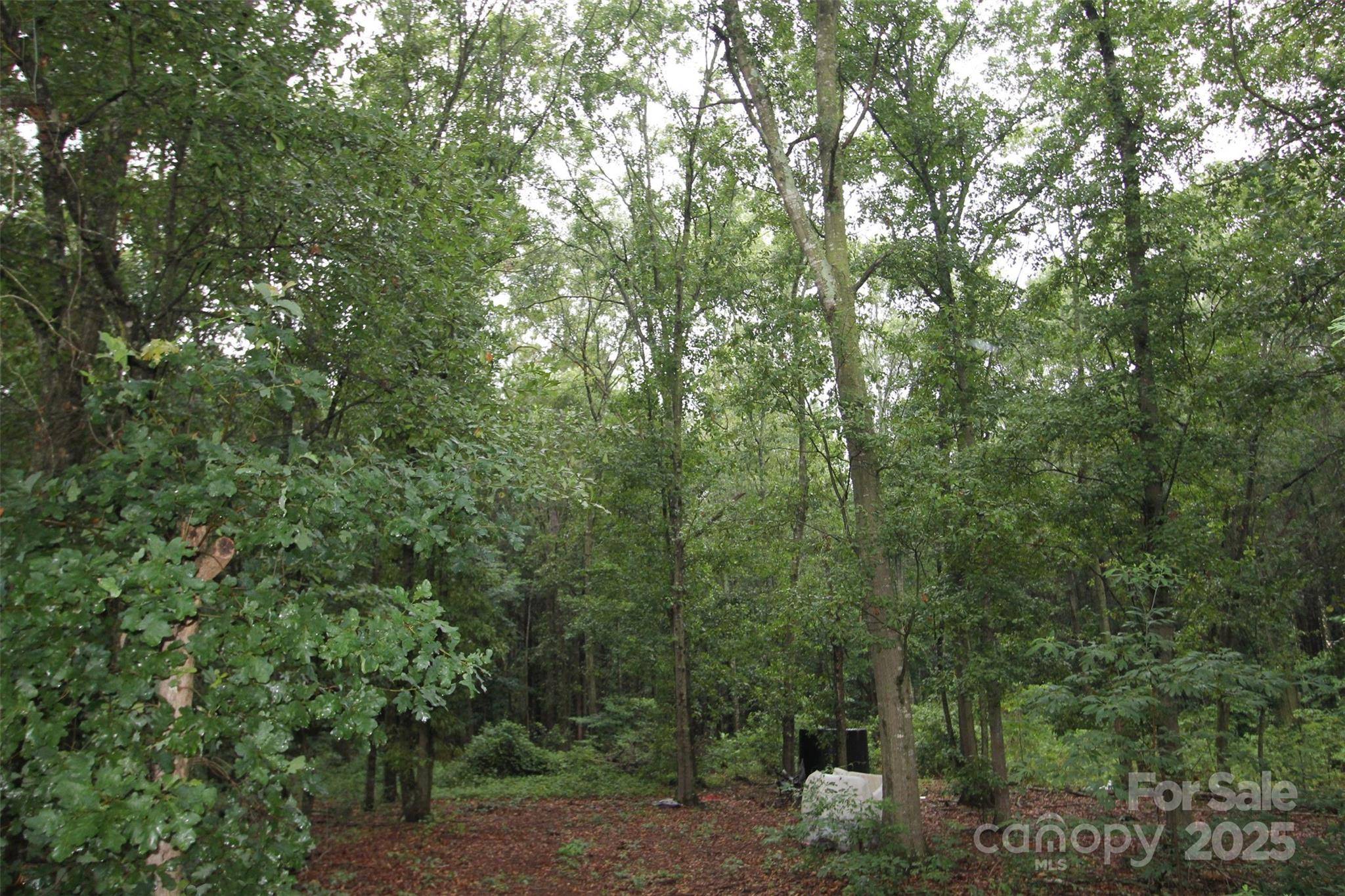 TBD Rainbow RD, Wadesboro, NC 28170