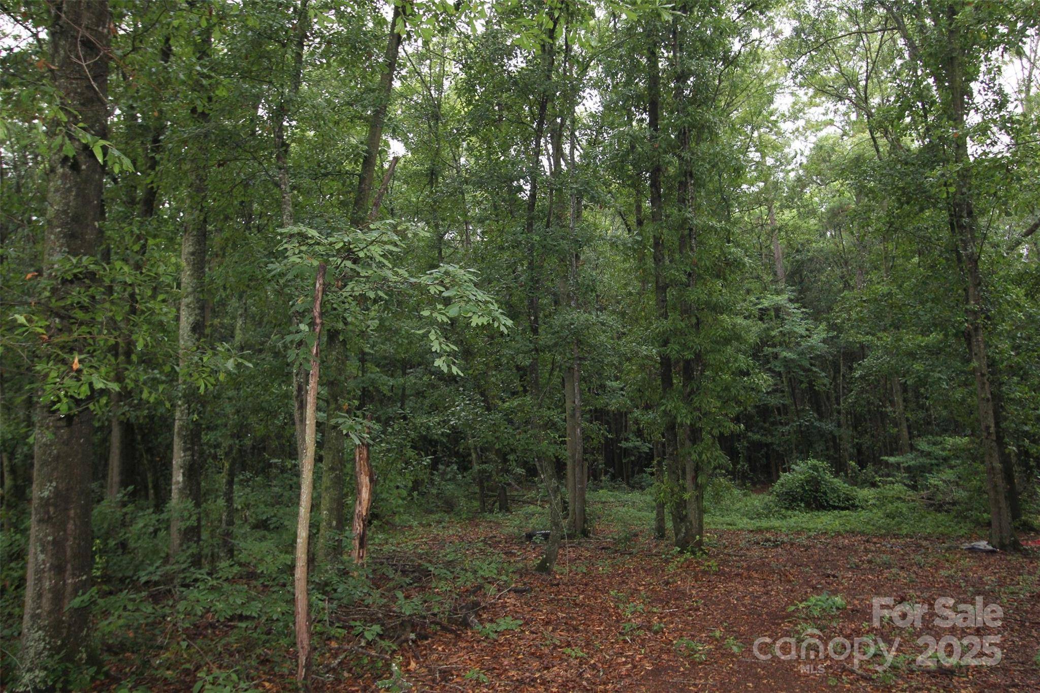 TBD Rainbow RD, Wadesboro, NC 28170