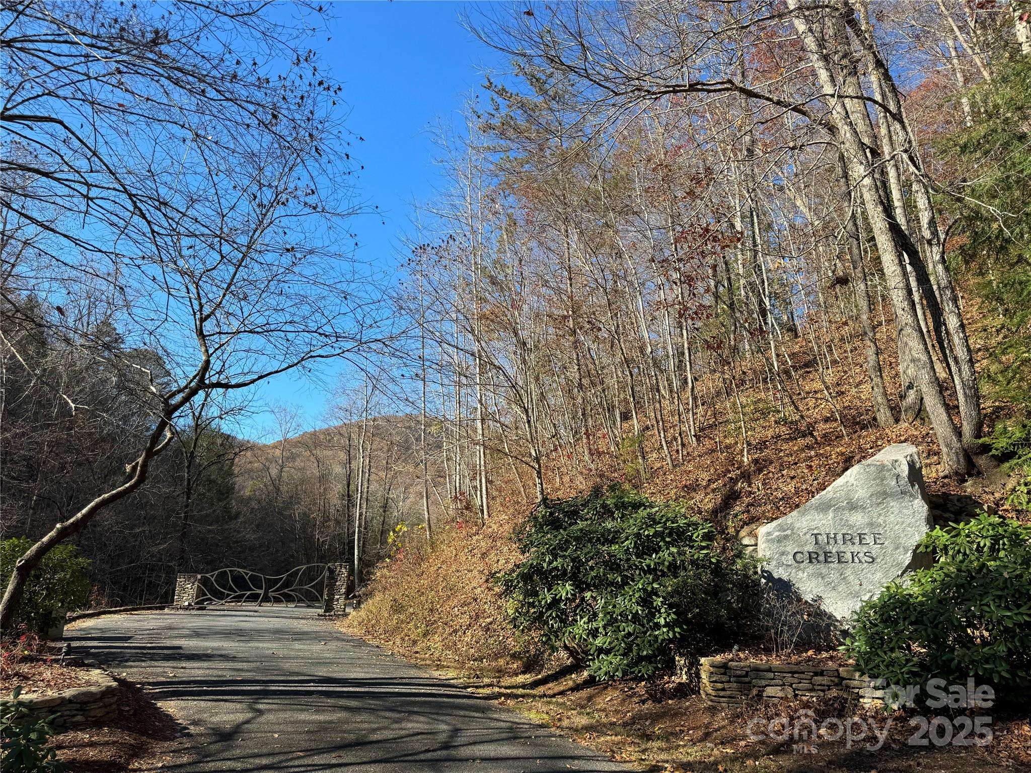 Site 5 Woodfen LN, Lake Lure, NC 28746