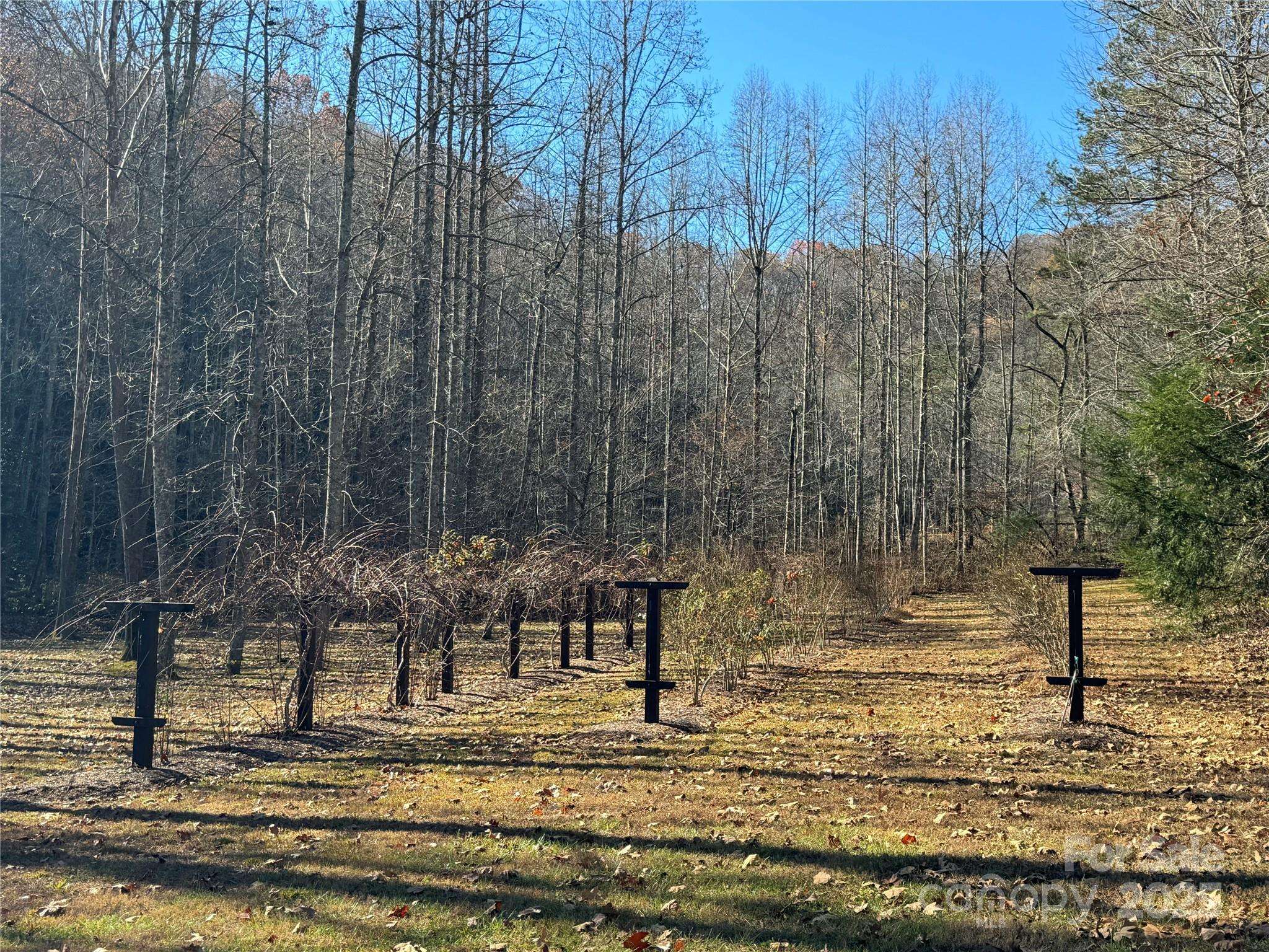 Site 5 Woodfen LN, Lake Lure, NC 28746