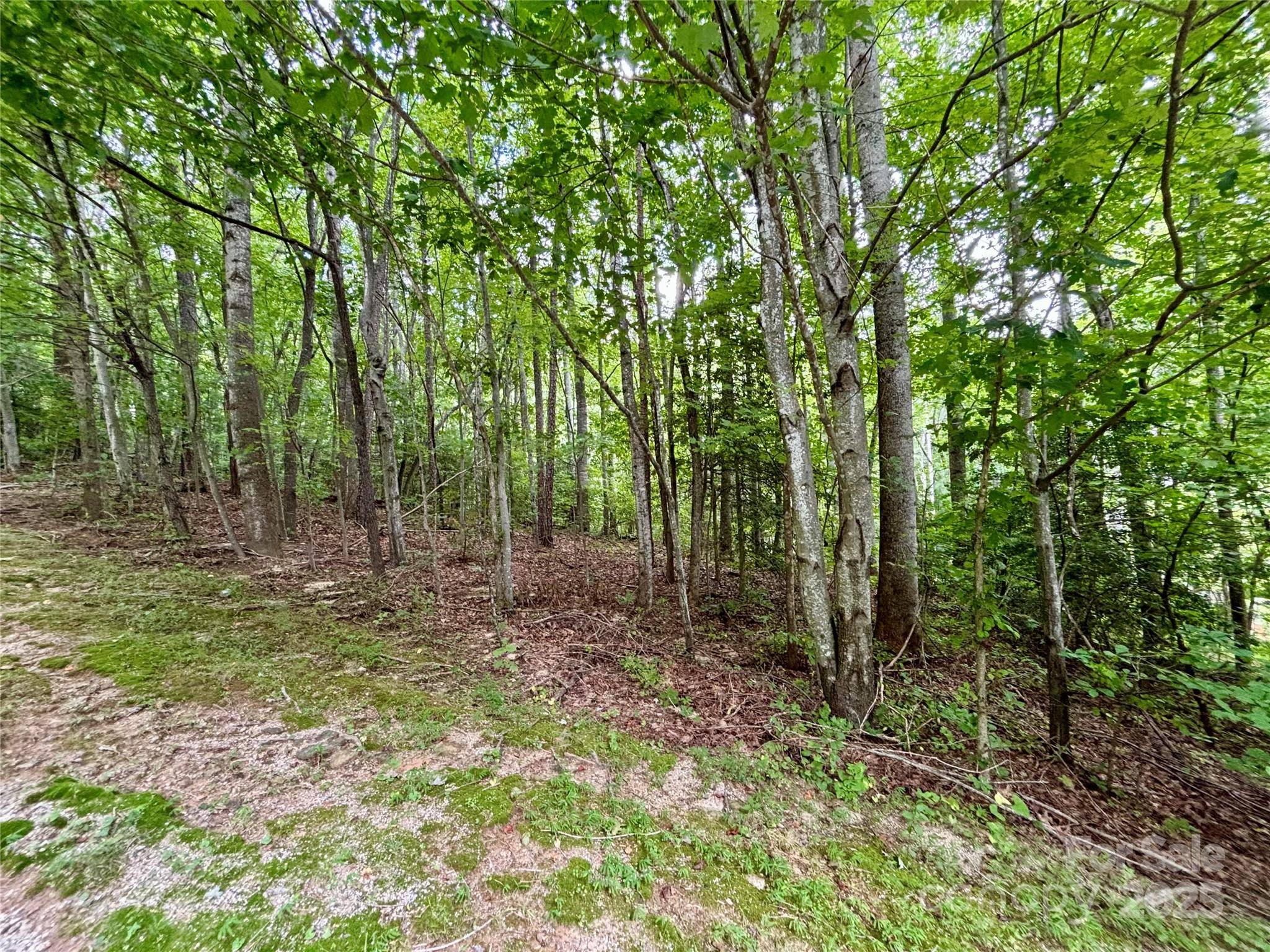 0 Sunlight Ridge CT, Hendersonville, NC 28792