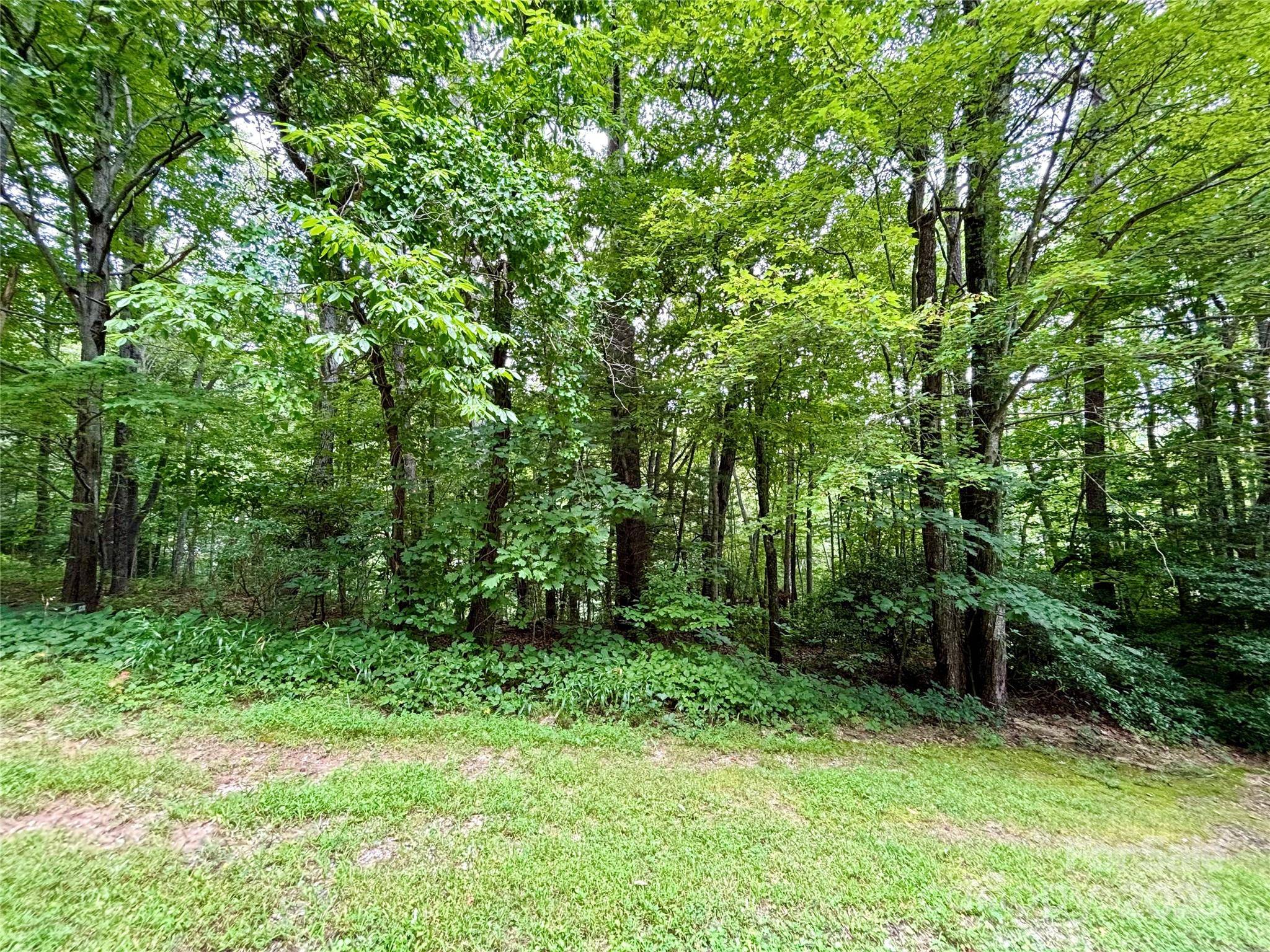 0 Sunlight Ridge CT, Hendersonville, NC 28792