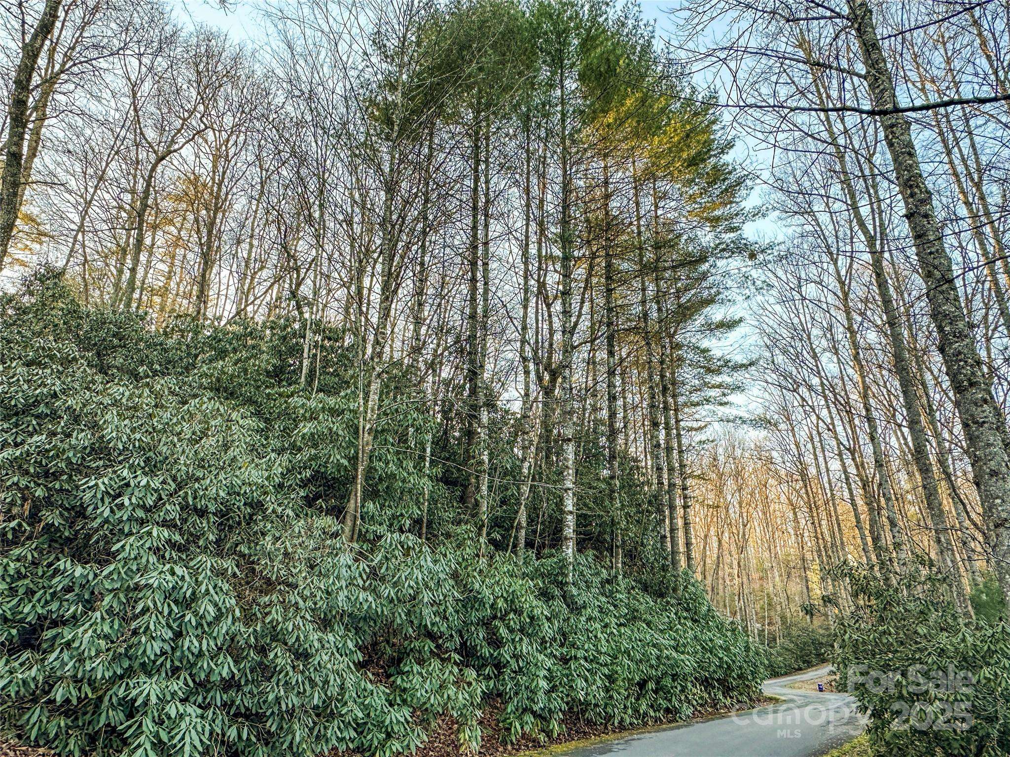 D17 Caroline LN, Pisgah Forest, NC 28768