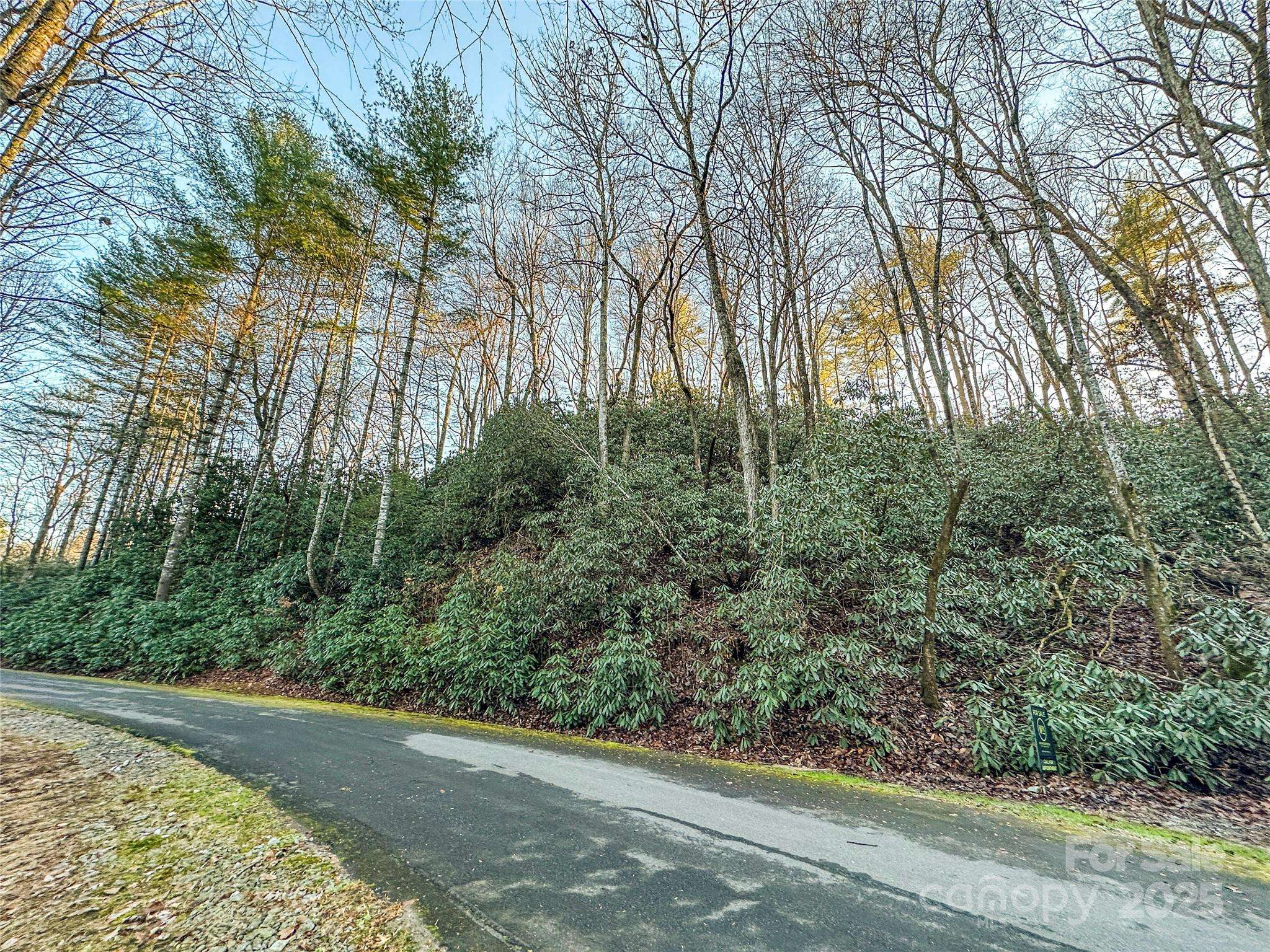D17 Caroline LN, Pisgah Forest, NC 28768
