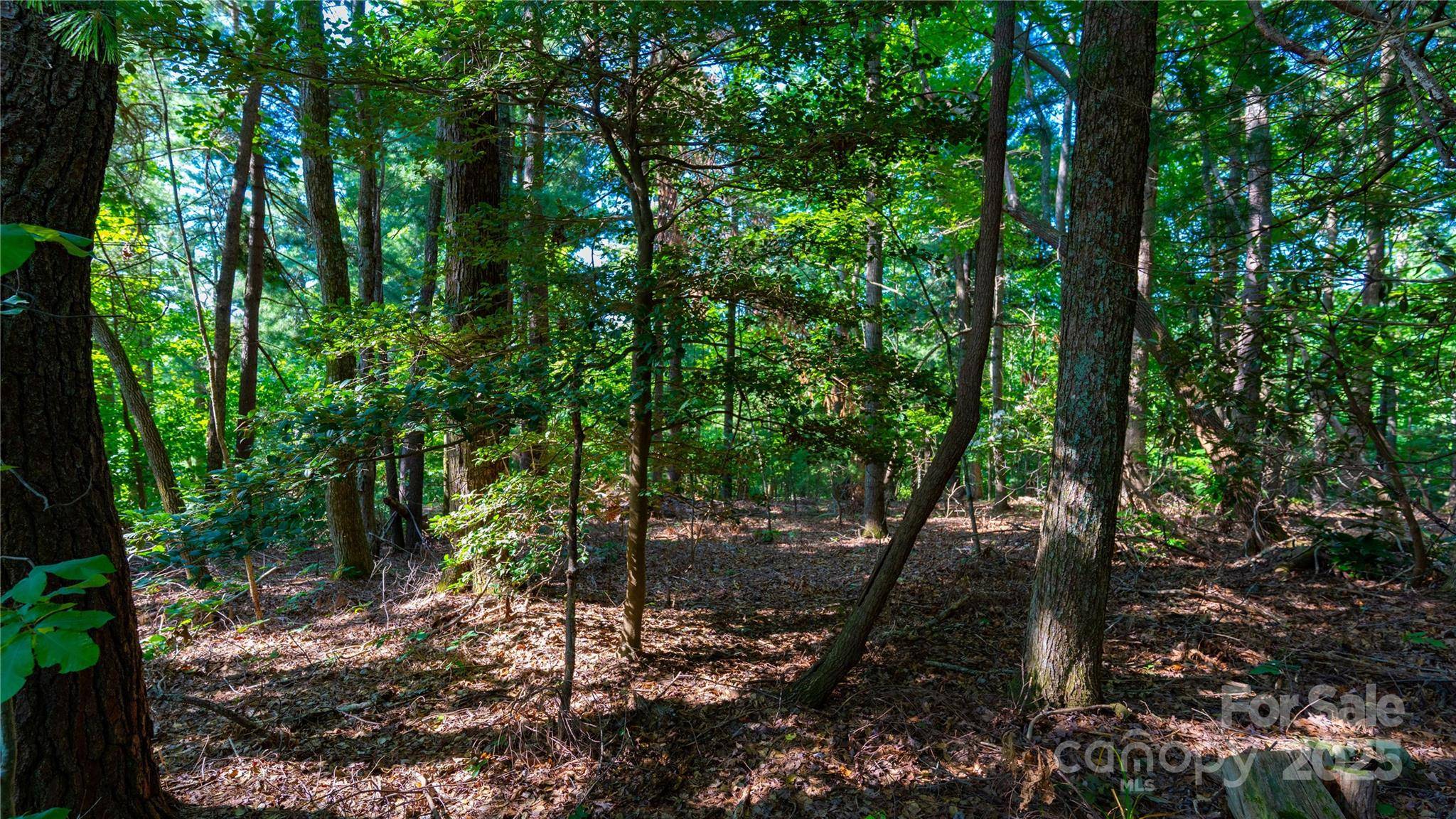 00 Glen Echo CIR, Saluda, NC 28773