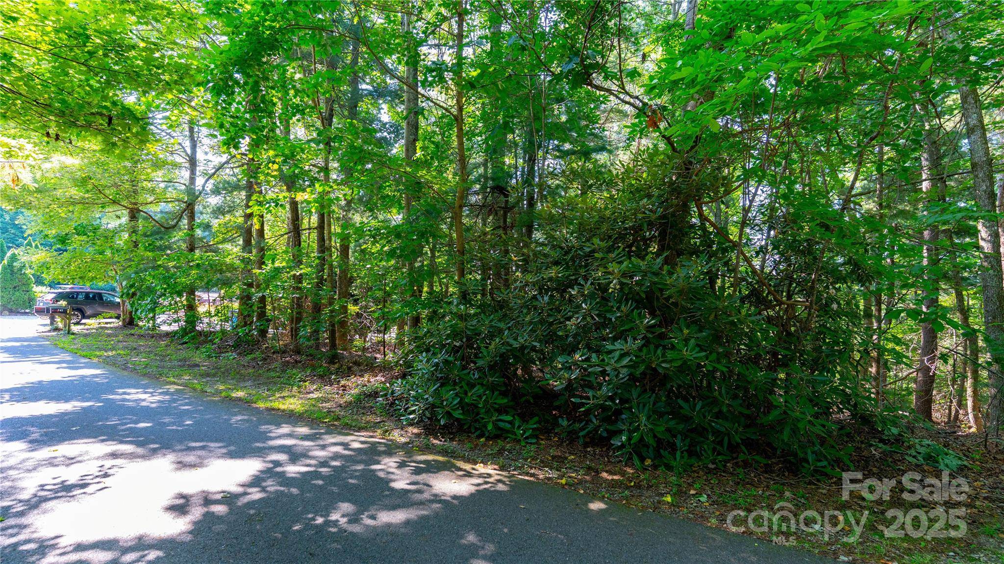 00 Glen Echo CIR, Saluda, NC 28773