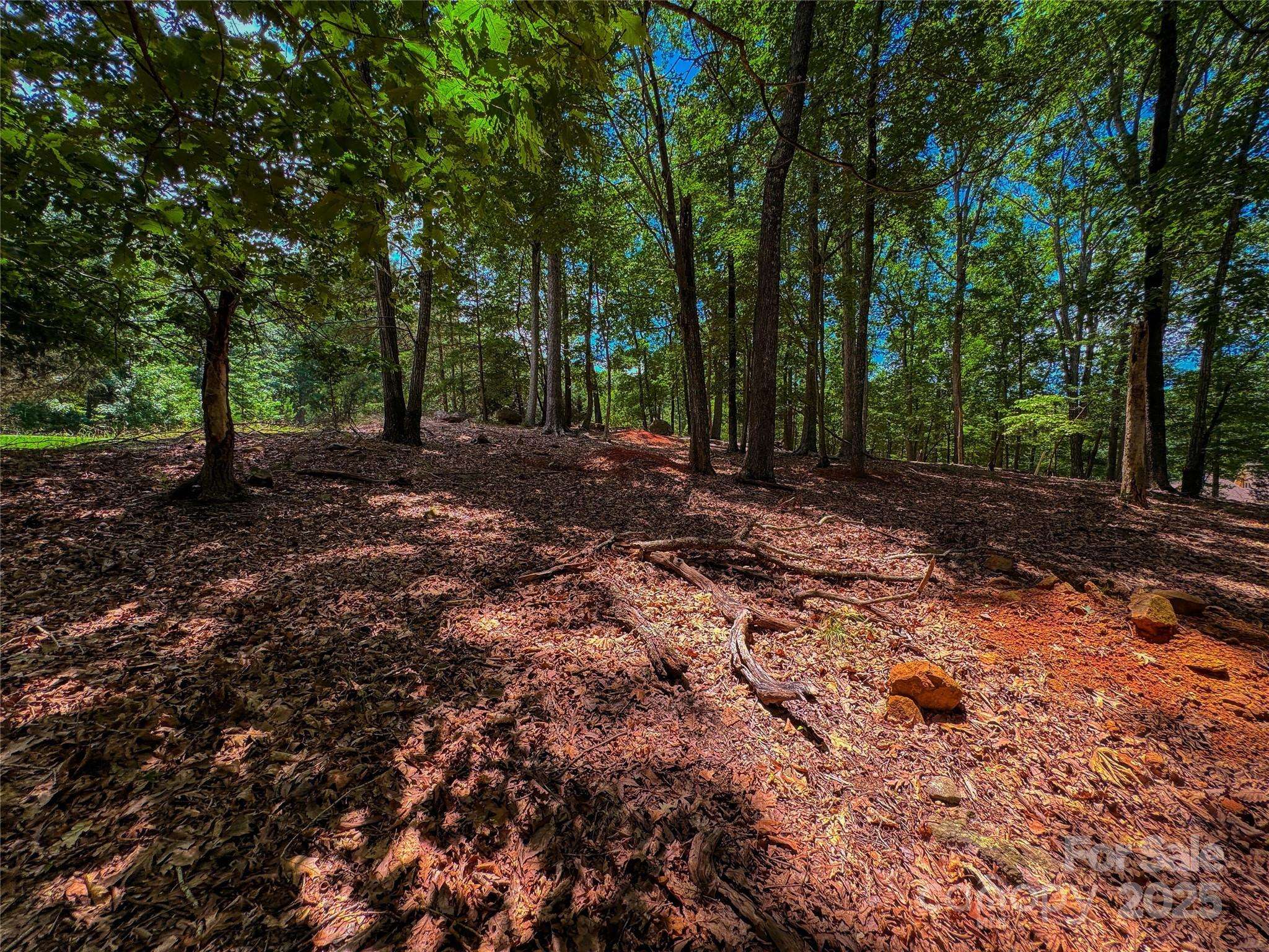 1560 Rocky Cove LN, Denton, NC 27239