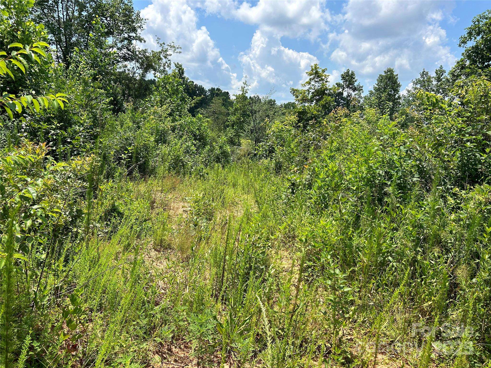 1824 Brushy Creek RD, Kingstown, NC 28150