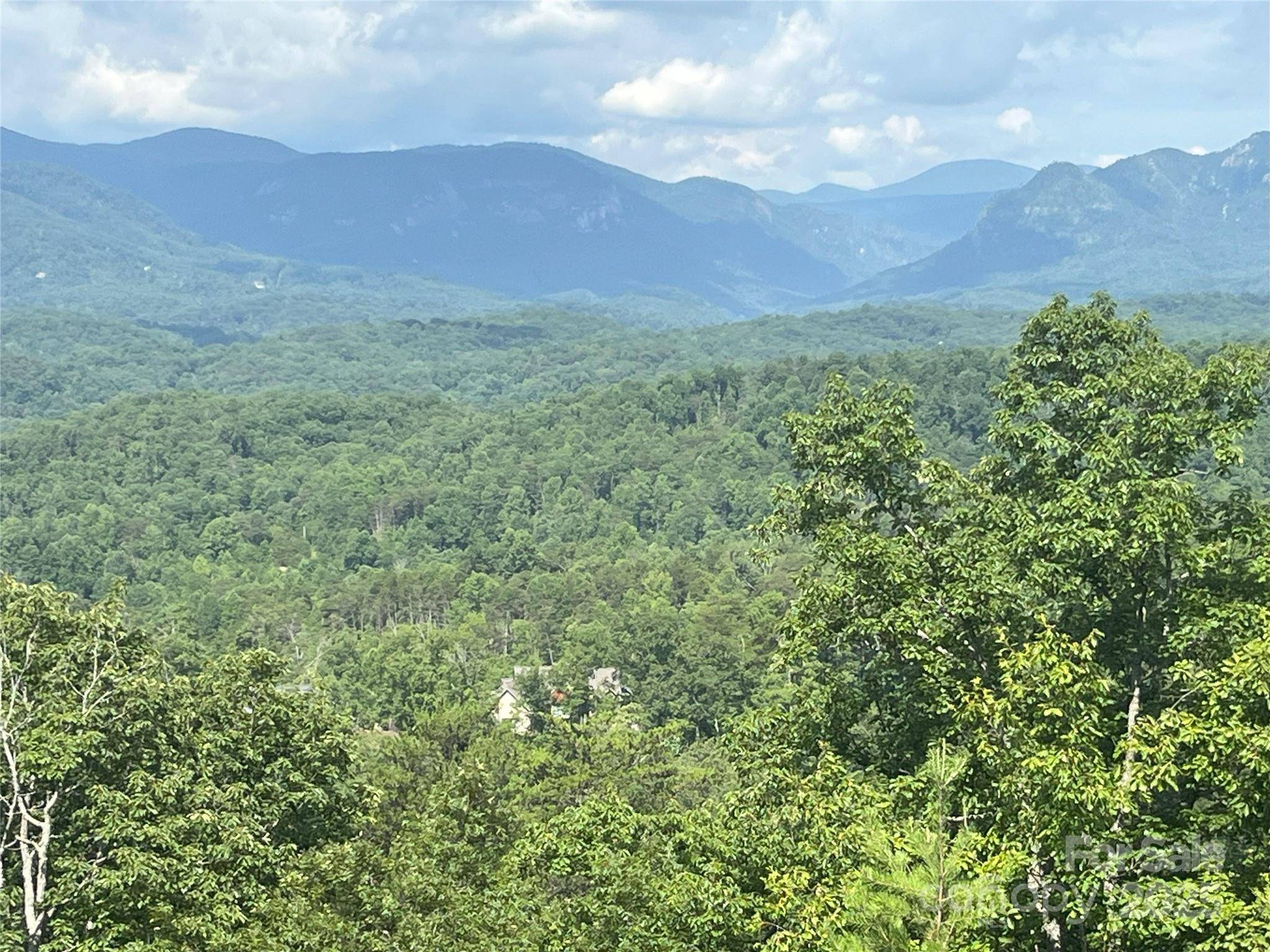 00 Bills Mountain TRL #6, Lake Lure, NC 28746