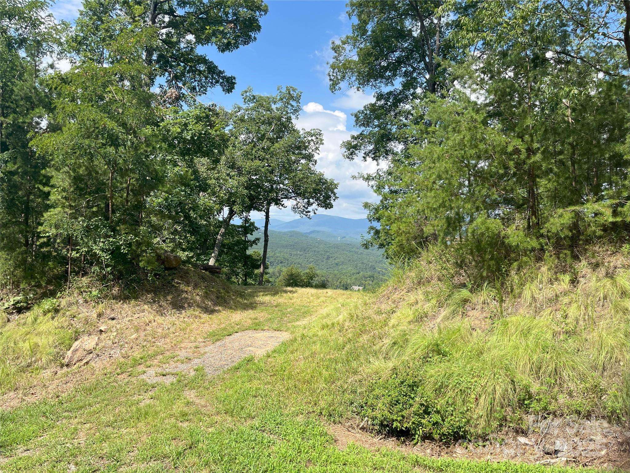 00 Bills Mountain TRL #6, Lake Lure, NC 28746