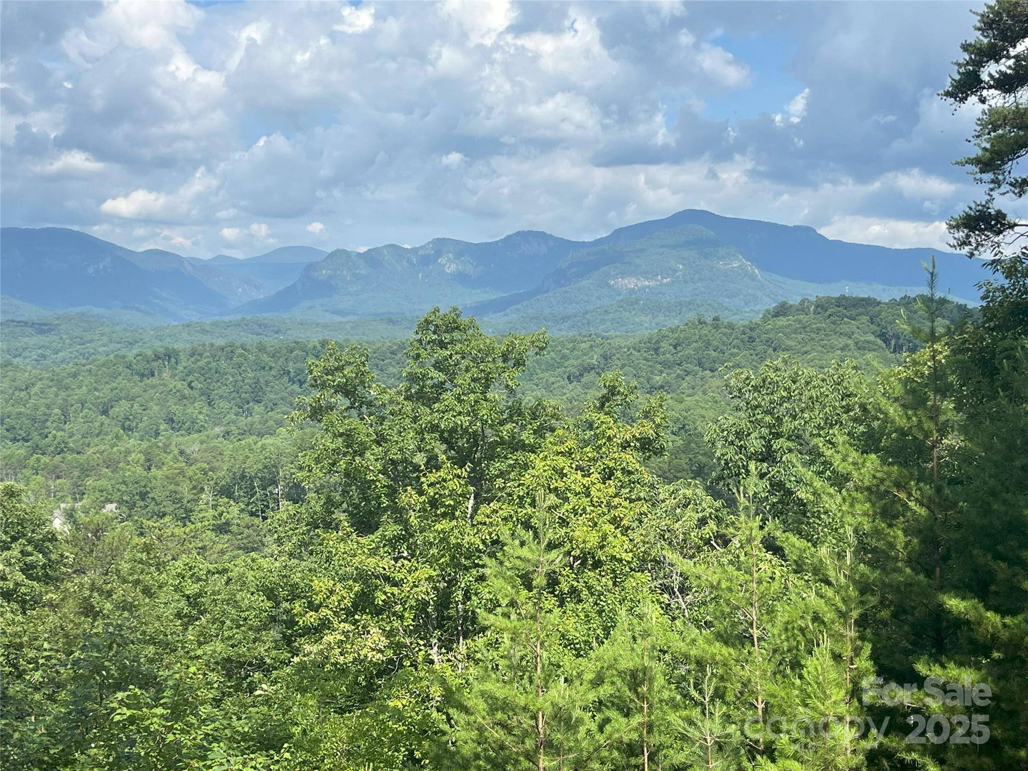 00 Bills Mountain TRL #6, Lake Lure, NC 28746