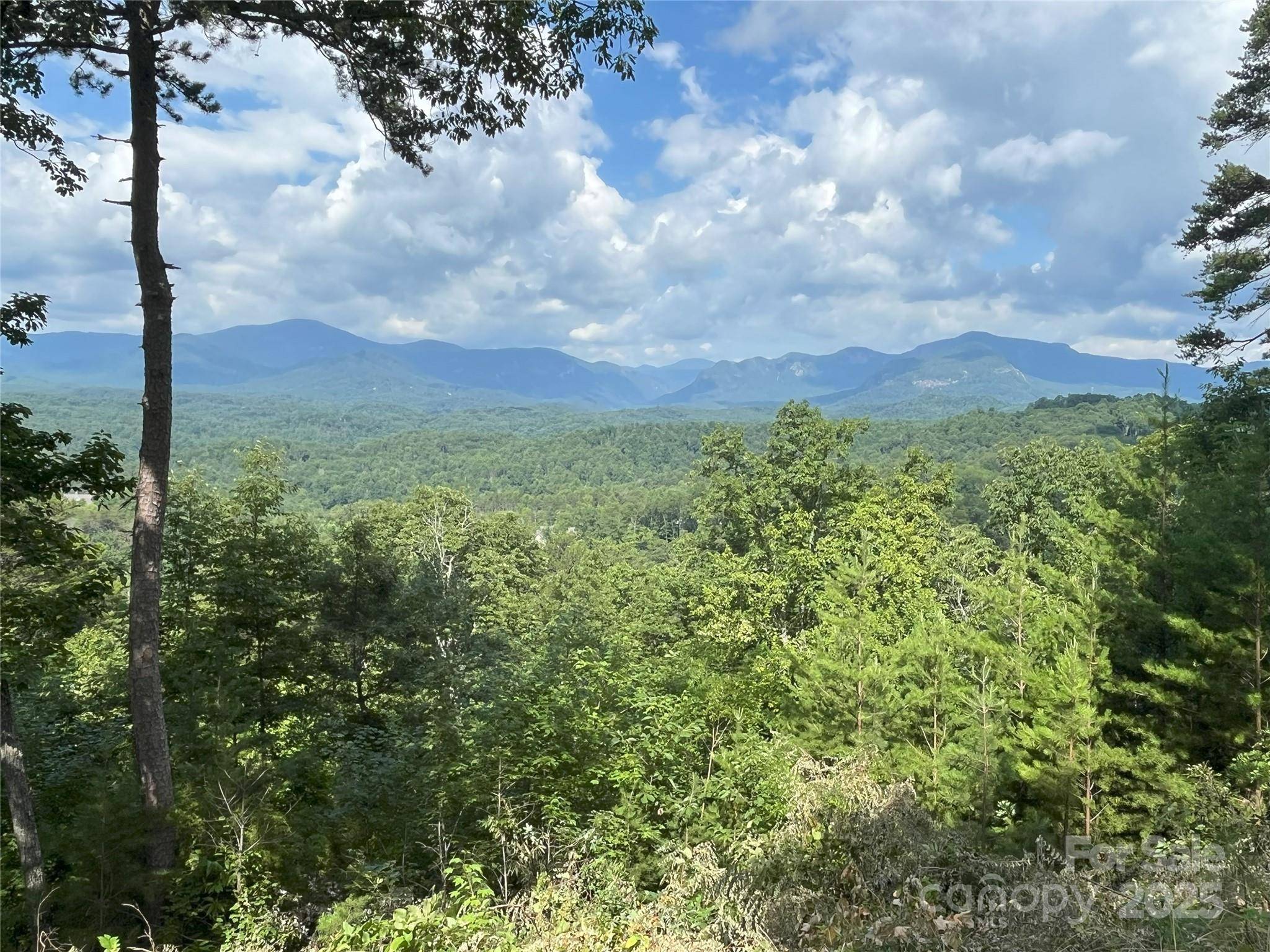 00 Bills Mountain TRL #6, Lake Lure, NC 28746