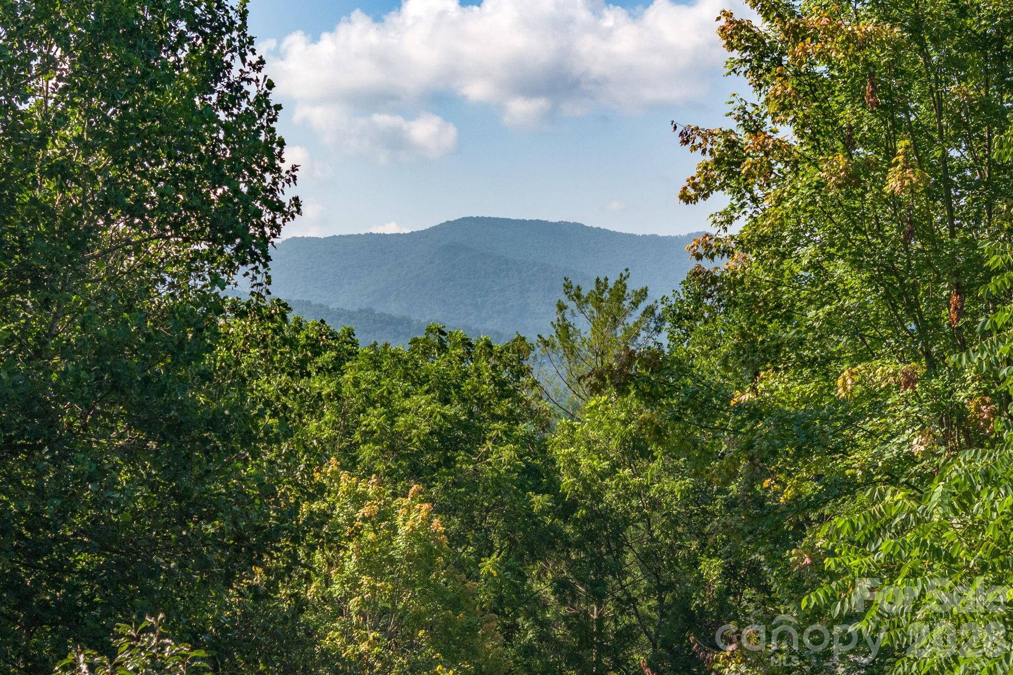 212 Blue Ridge VIS, Asheville, NC 28805