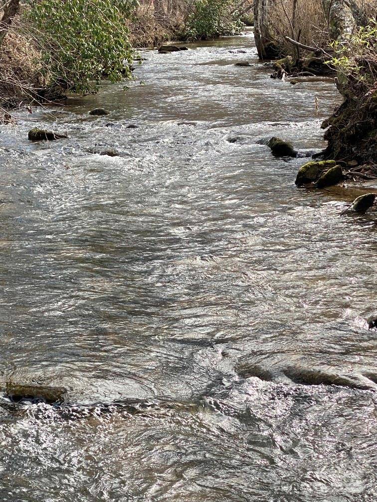 10 Arbor Creek TRL #10, Mineral Bluff, GA 30559