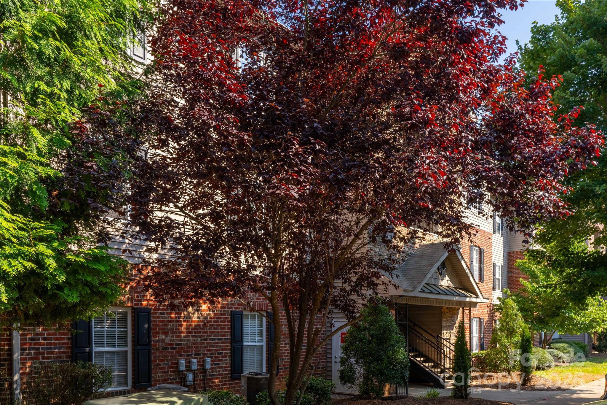332 Appeldoorn CIR, Asheville, NC 28803