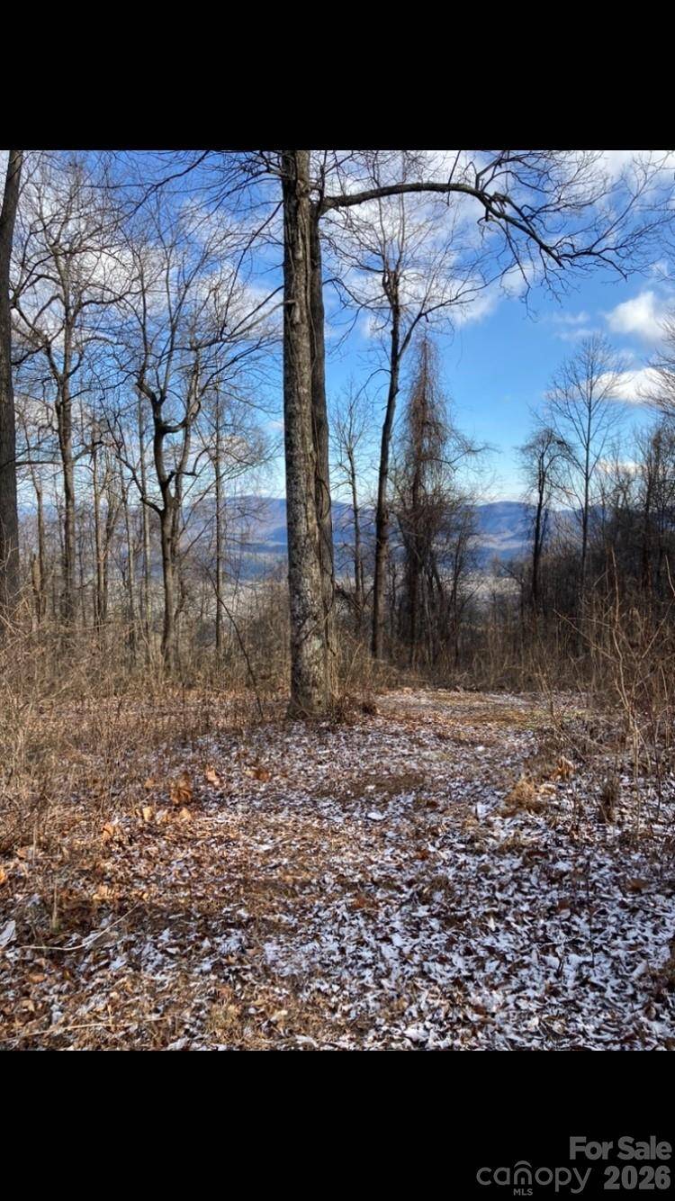 2523 Creston DR #T-24, Black Mountain, NC 28711
