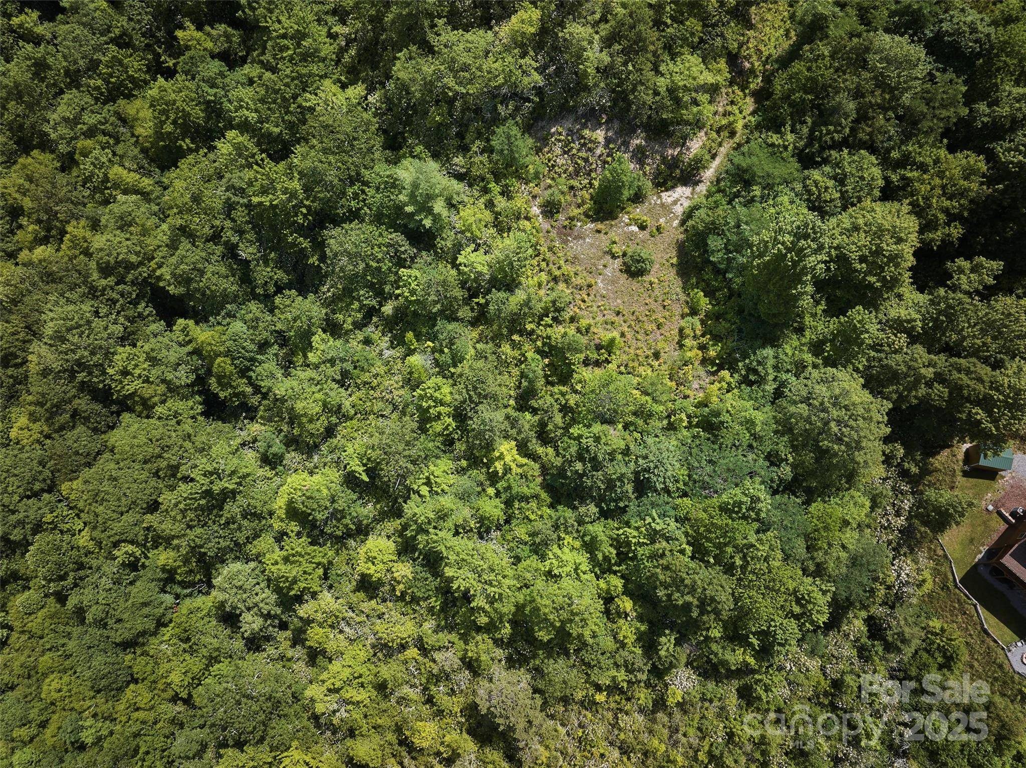 Lot 24 Piedmont WAY #24, Bryson City, NC 28713