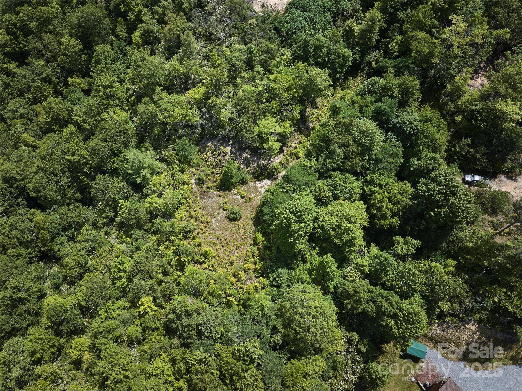 Lot 24 Piedmont WAY #24, Bryson City, NC 28713