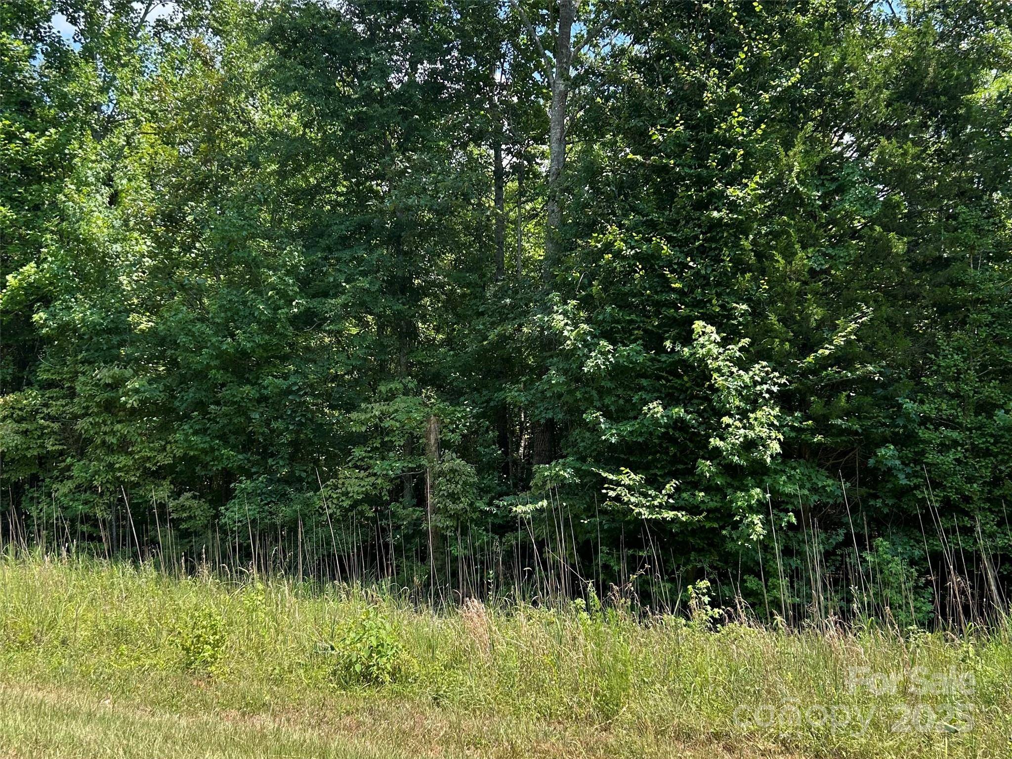 0000 Cabal RD, Sharon, SC 29742