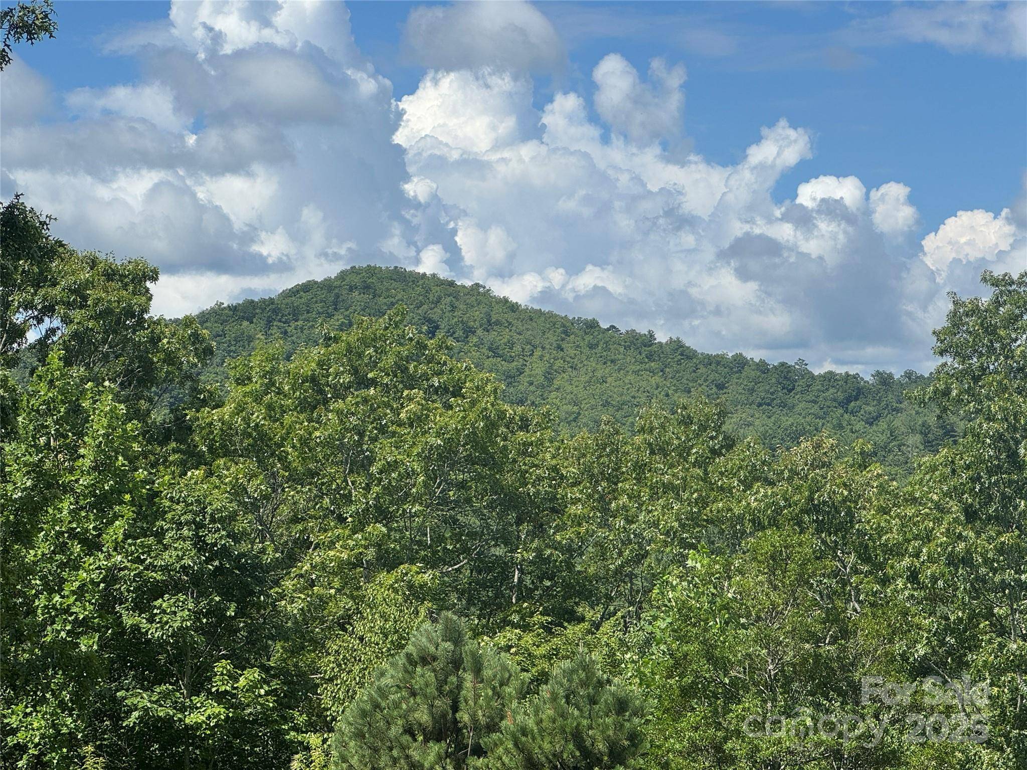 999 Ivy LN, Pisgah Forest, NC 28768