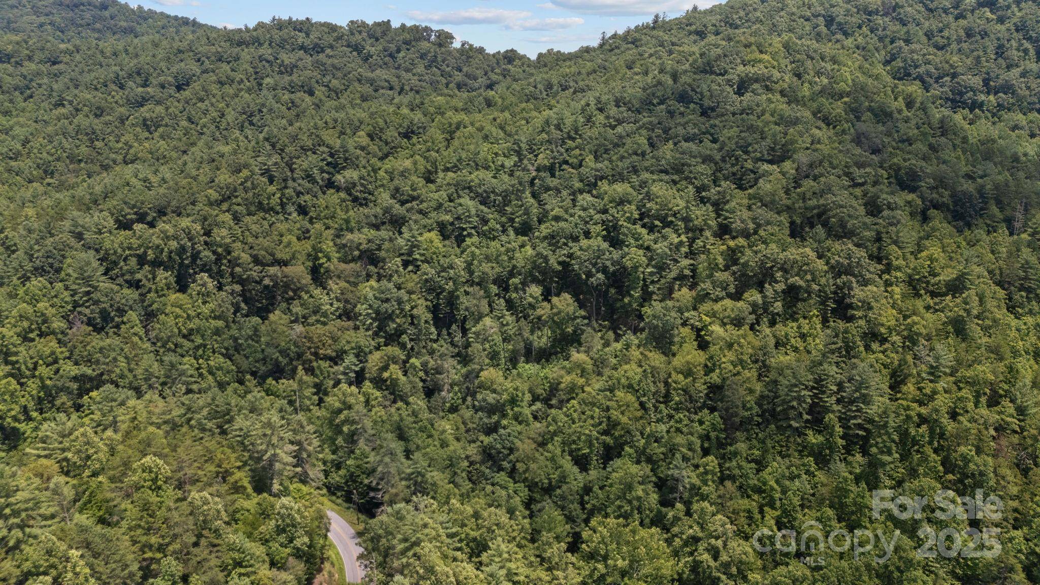 1296 Sheets Gap RD, Millers Creek, NC 28651