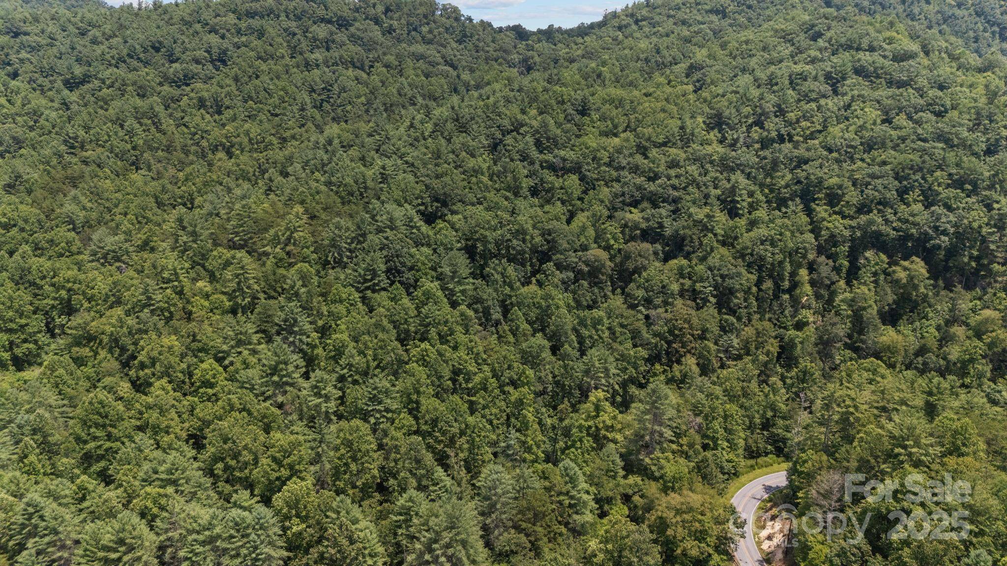 1296 Sheets Gap RD, Millers Creek, NC 28651