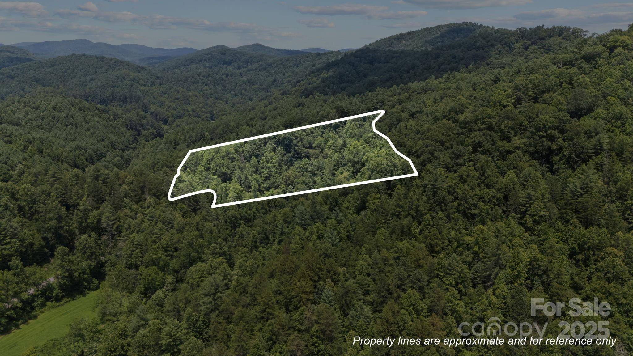 1296 Sheets Gap RD, Millers Creek, NC 28651