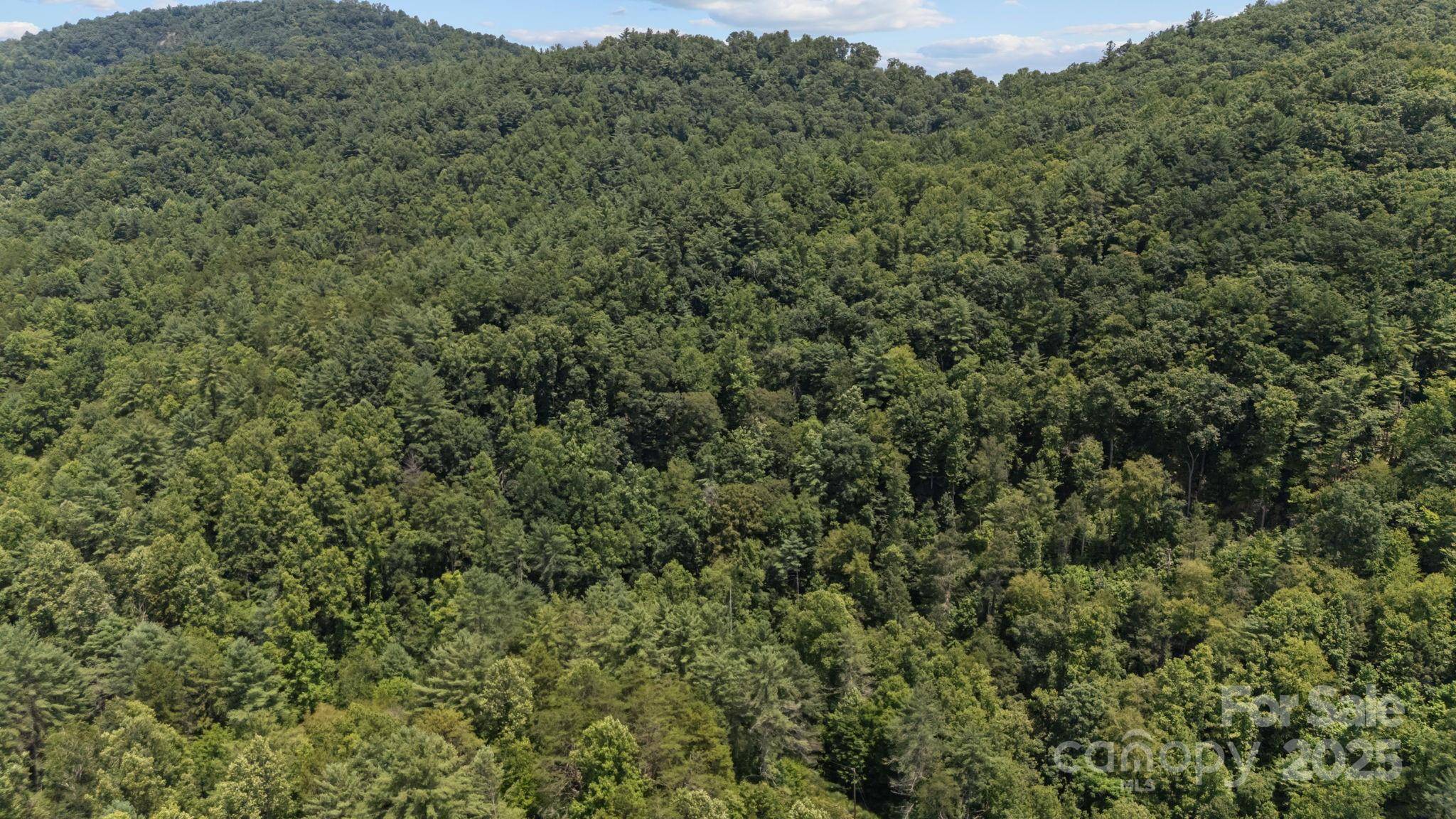 1296 Sheets Gap RD, Millers Creek, NC 28651