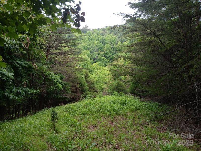 2255 NC Hwy 268 HWY, Wilkesboro, NC 28697