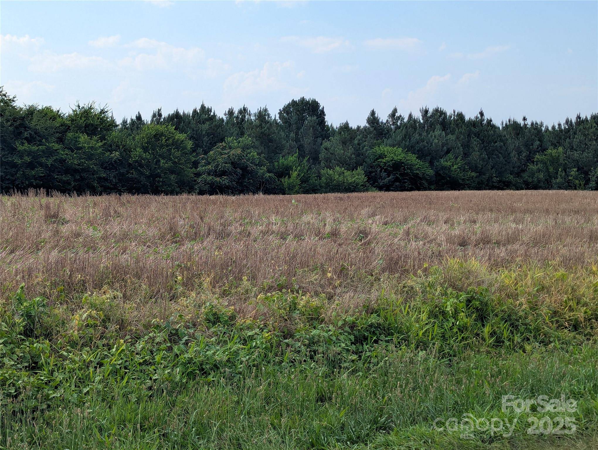 1455 Blonnie Ross RD, Polkton, NC 28135